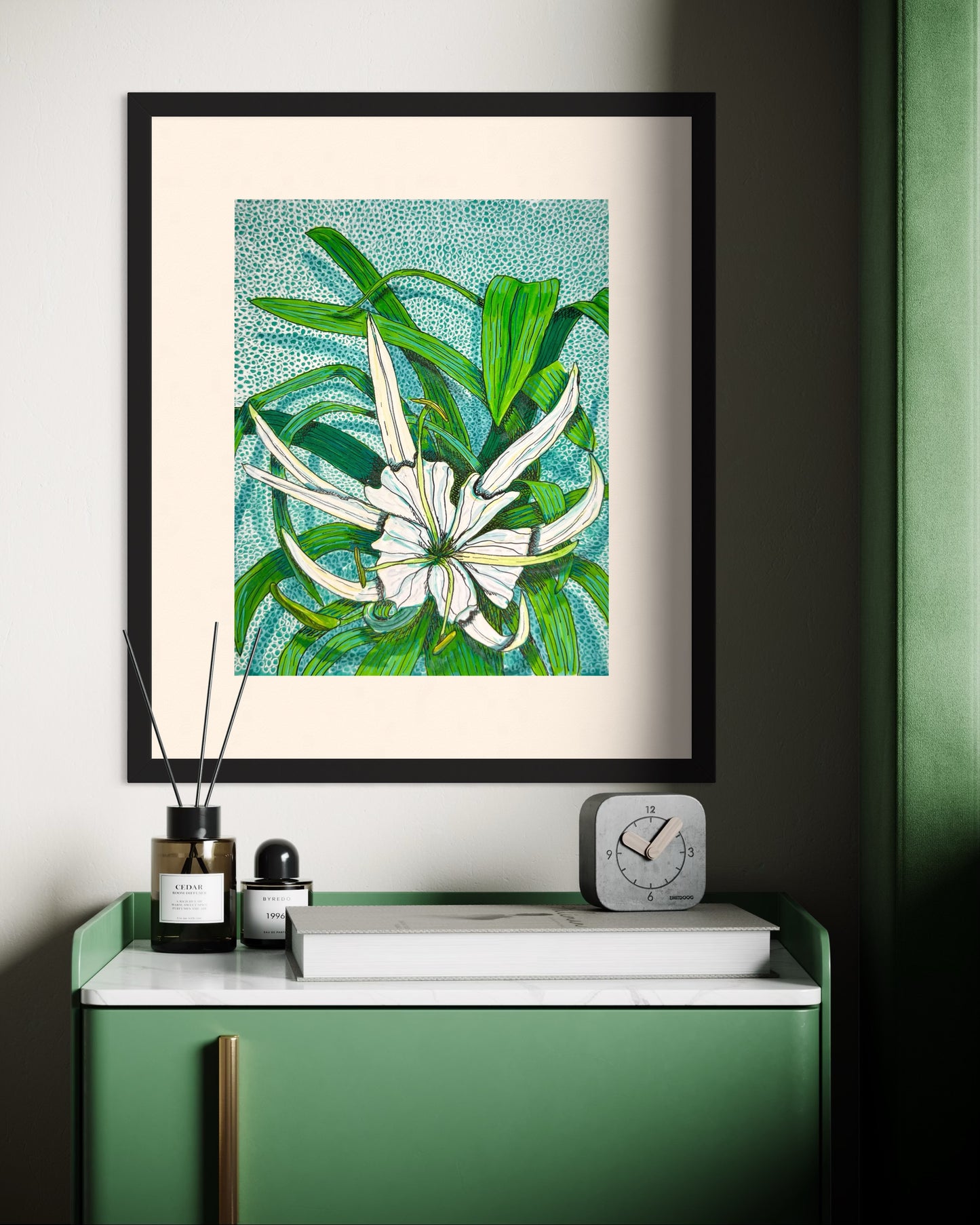 Beach Spider Lily - Garden Path Collection