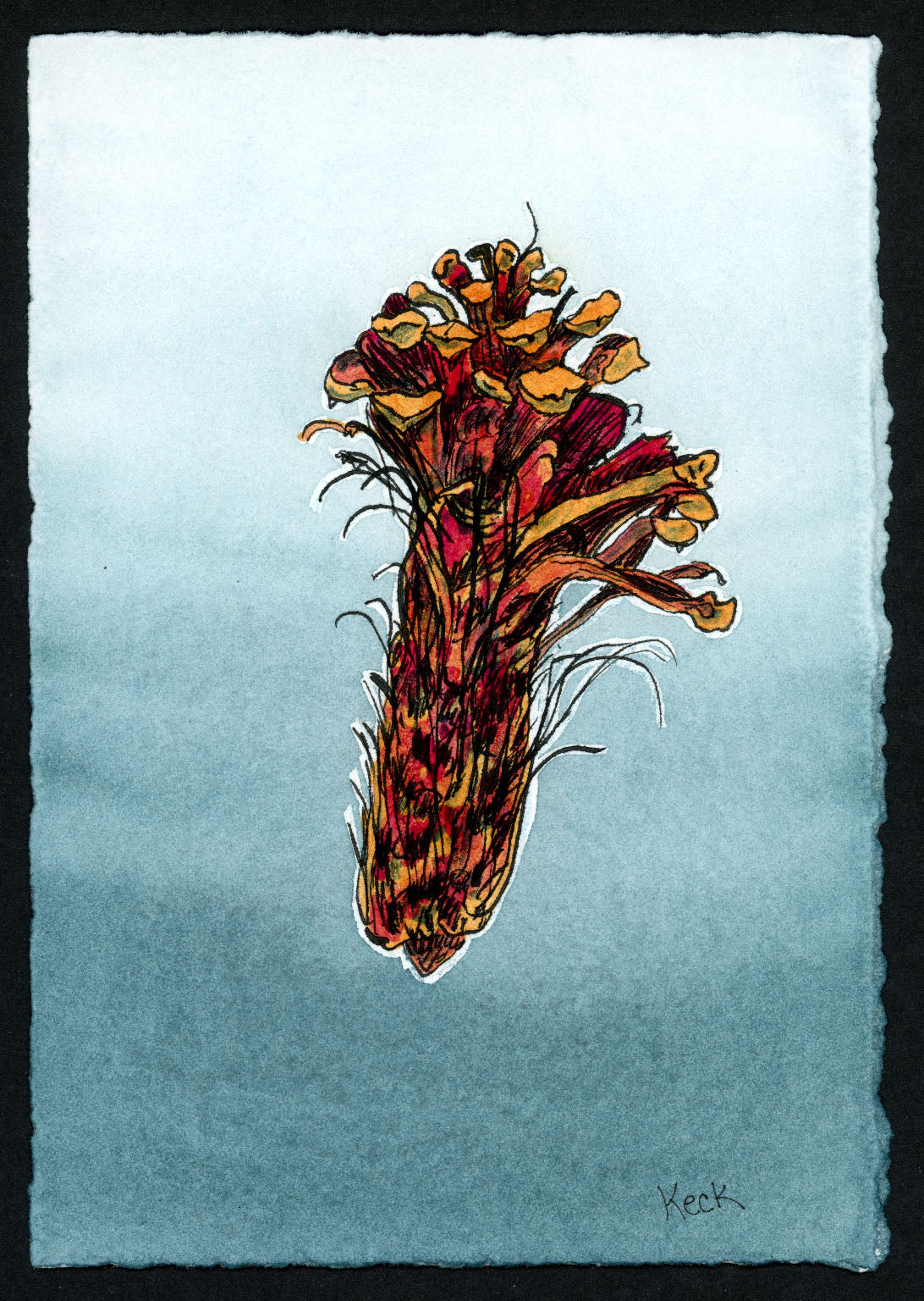 Pine Cone #1 (Approx. 5"x7" original art)