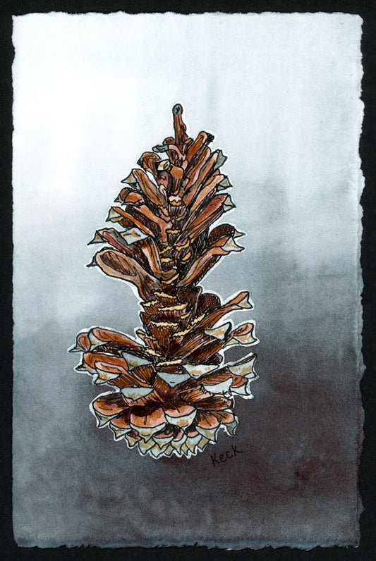 Pine Cone #5 (Approx. 5"x7" original art)