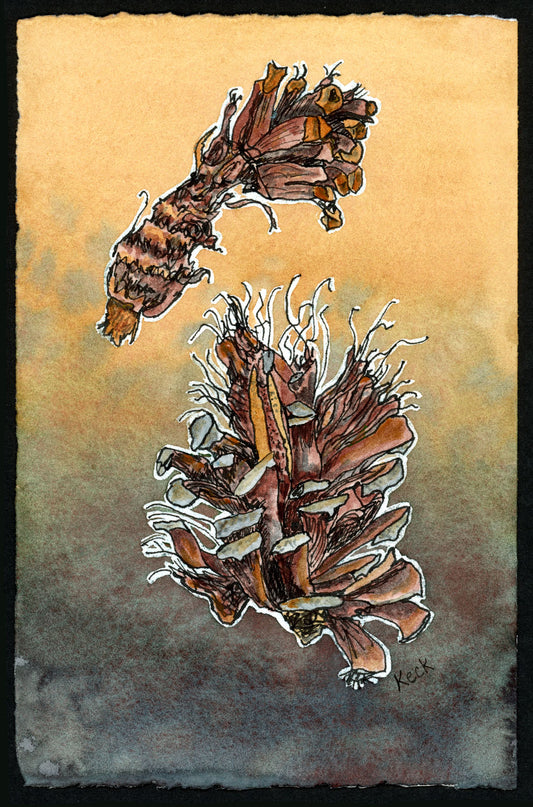 Pine Cones #6 (Approx. 5"x7" original art)