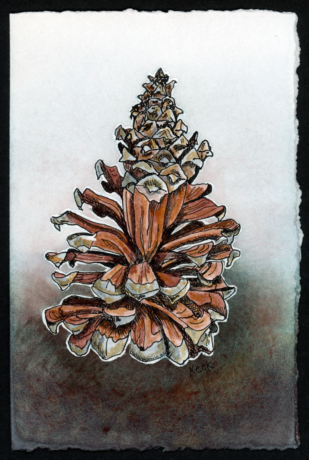 Pine Cone #7 (Approx. 5"x7" original art)