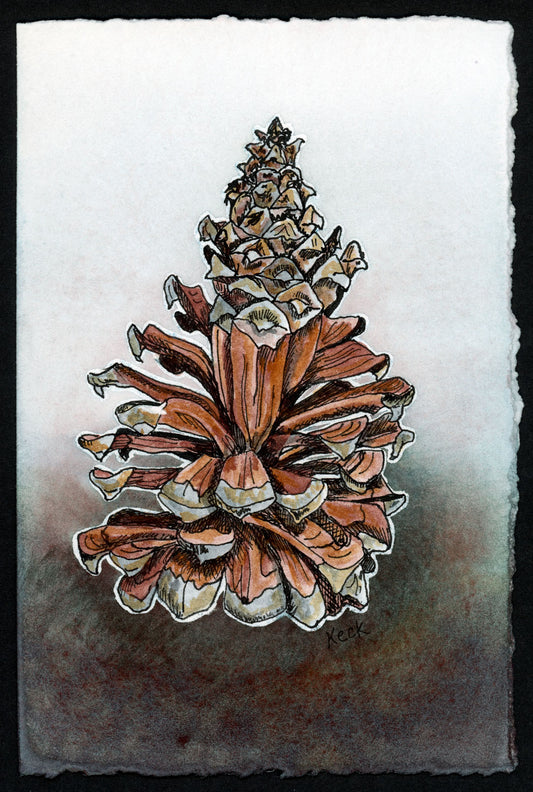 Pine Cone #7 (Approx. 5"x7" original art)