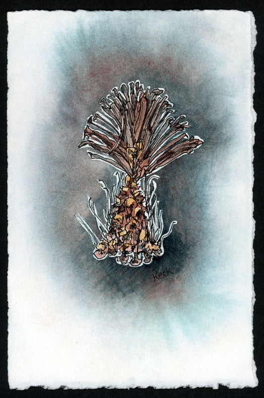 Pine Cone #8 (Approx. 5"x7" original art)