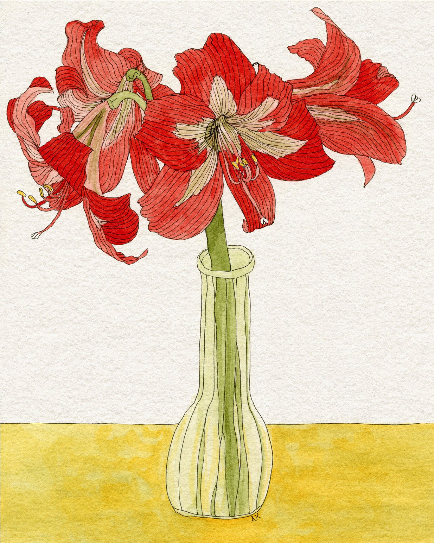 Red Amaryllis in Vase - (Print)