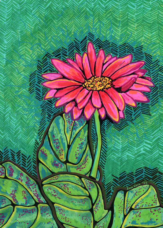 Gerbera Daisy - Garden Path Collection