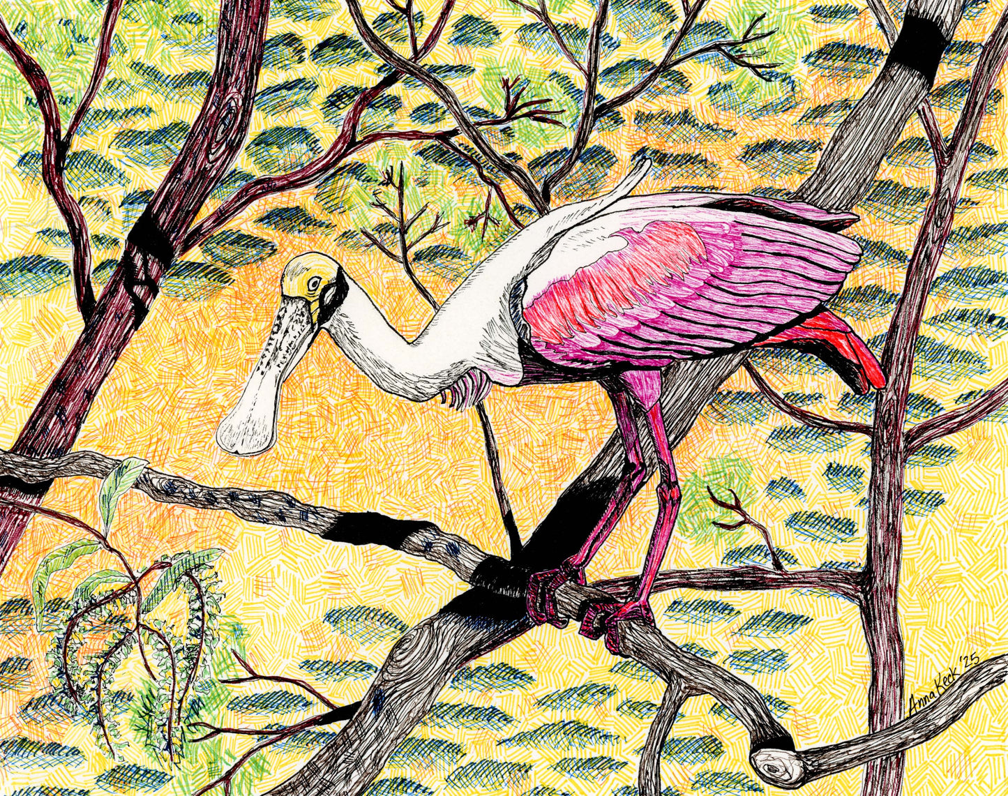 Roseate Spoonbill in Micron Pens - Art Print