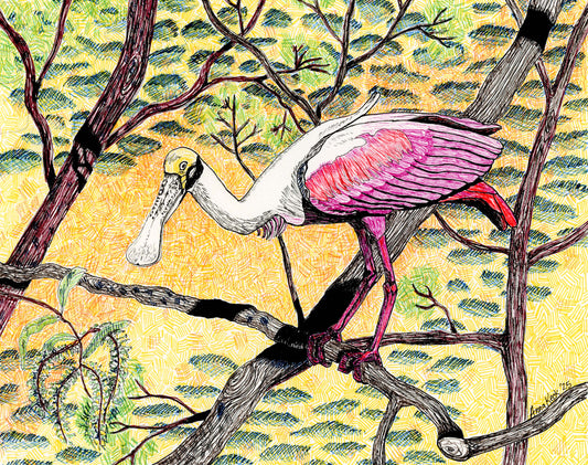 Roseate Spoonbill in Micron Pens - Art Print