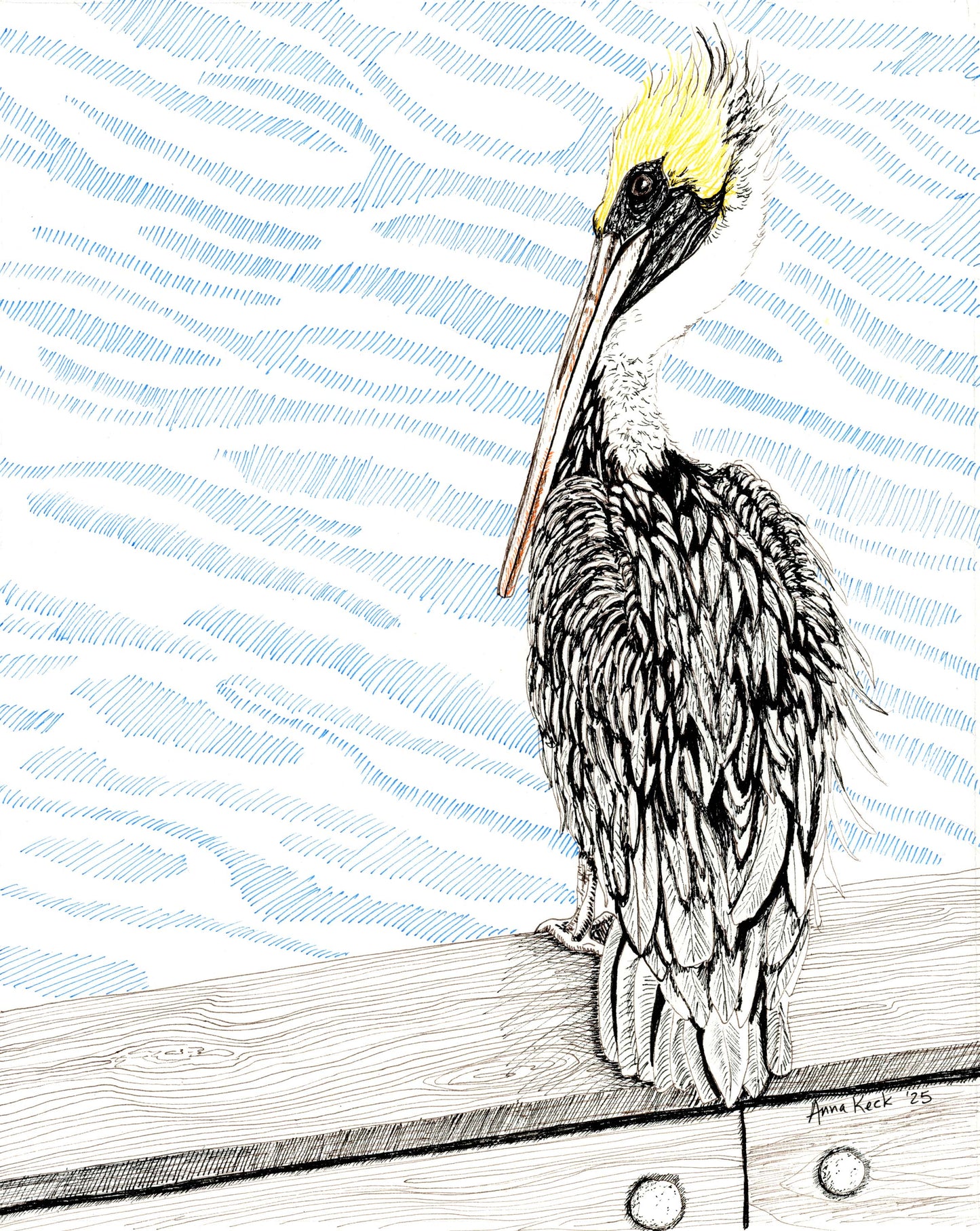 Pelican in Micron Pens - Art Print