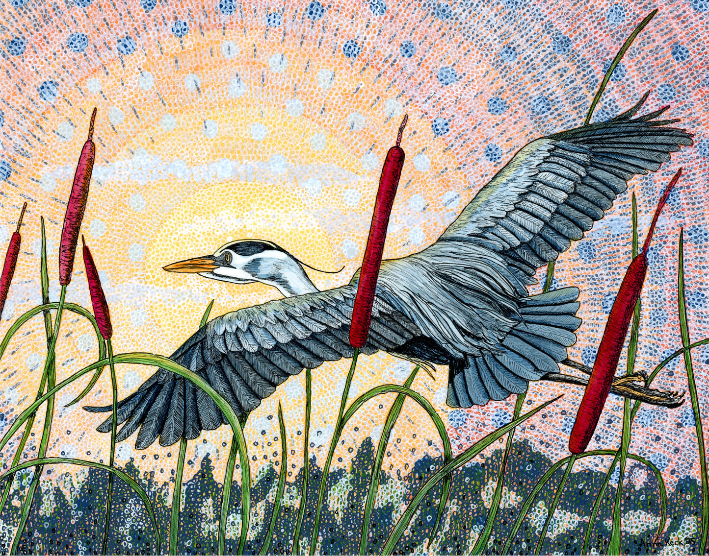 Great Blue Heron Flying over Cattails - Art Print