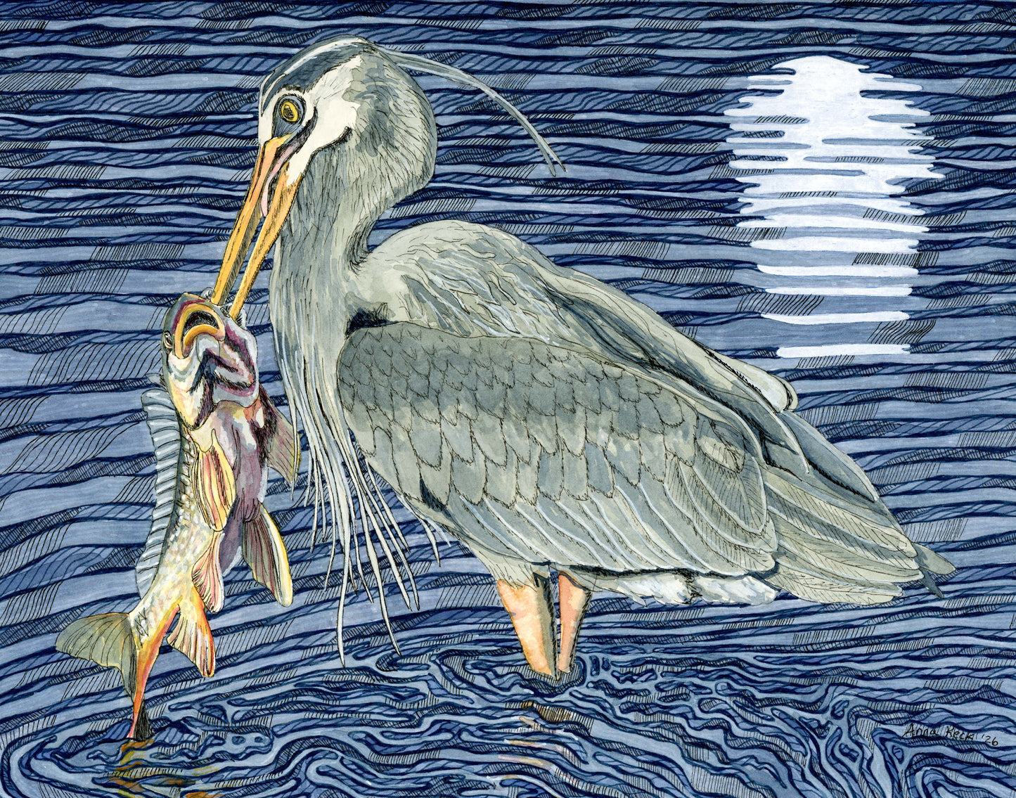 Blue Heron with Fish