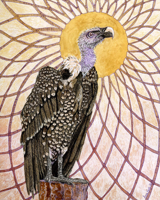 Ruppell's Griffon Vulture