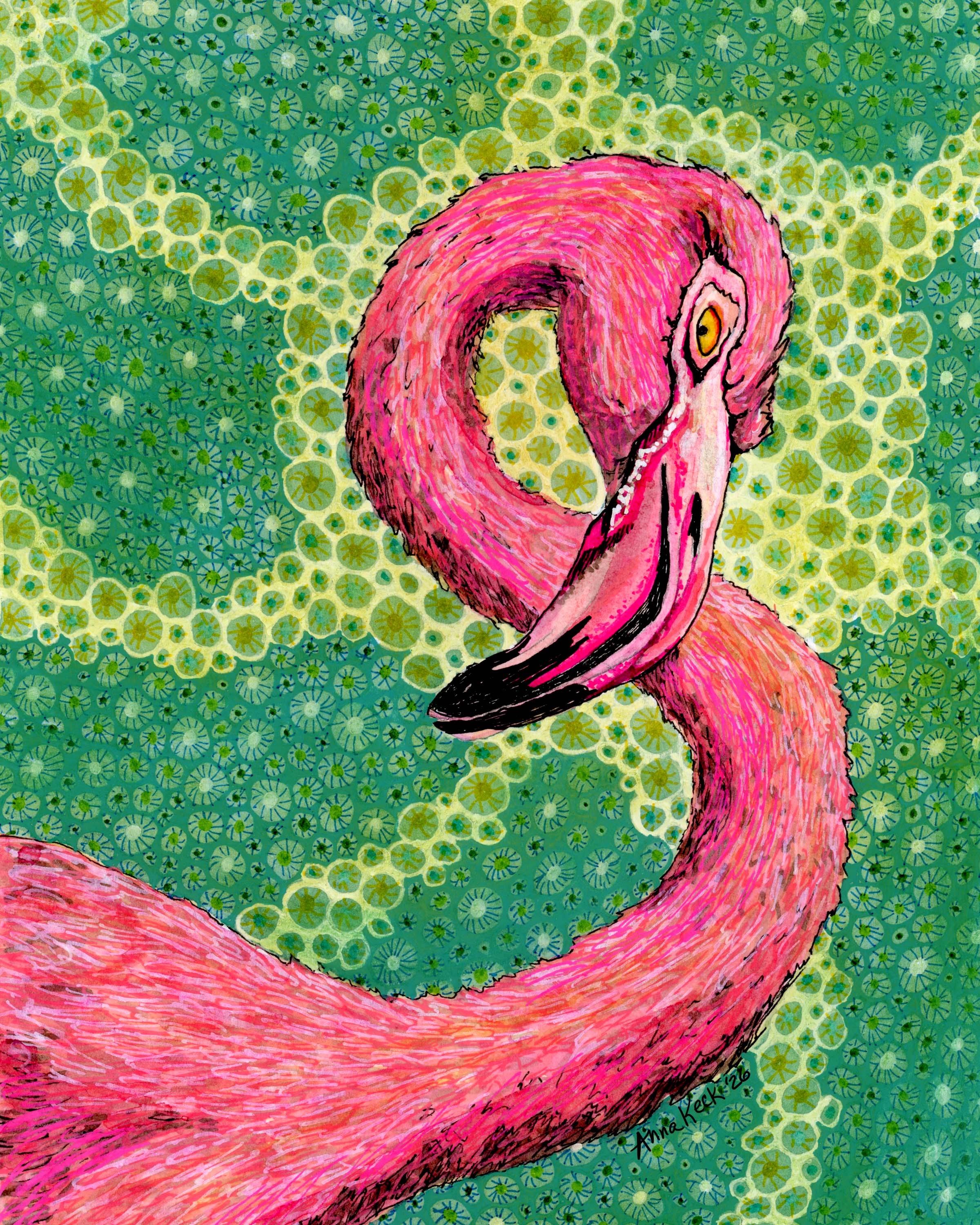 Pink Flamingo – Keck Studio