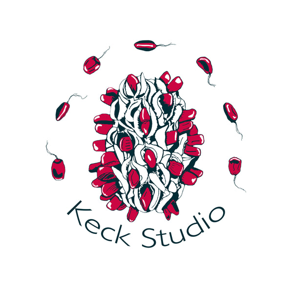 Keck Studio