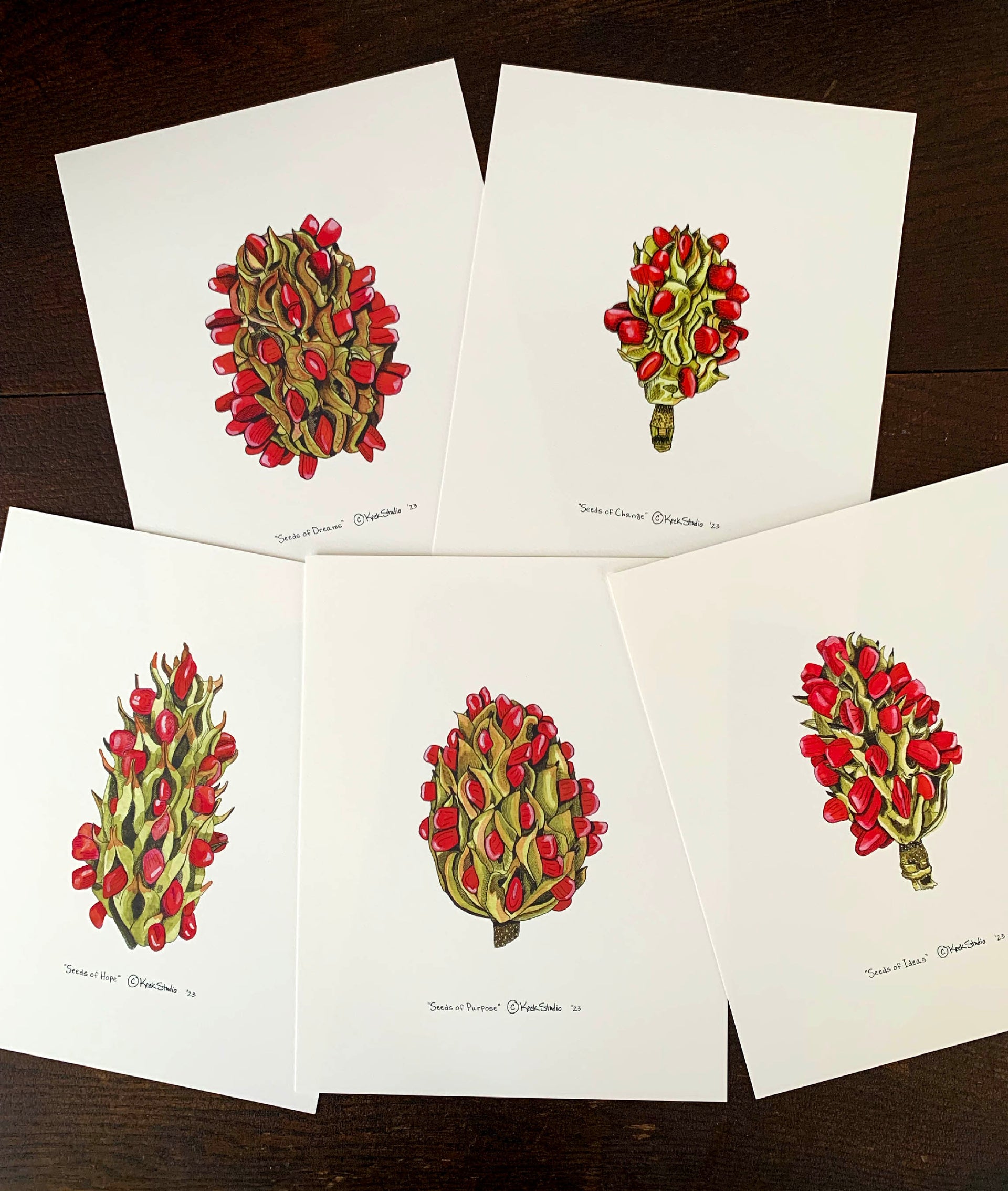 Manifestation Magnolia Seed Pod Series - ALL 5 prints – Keck Studio