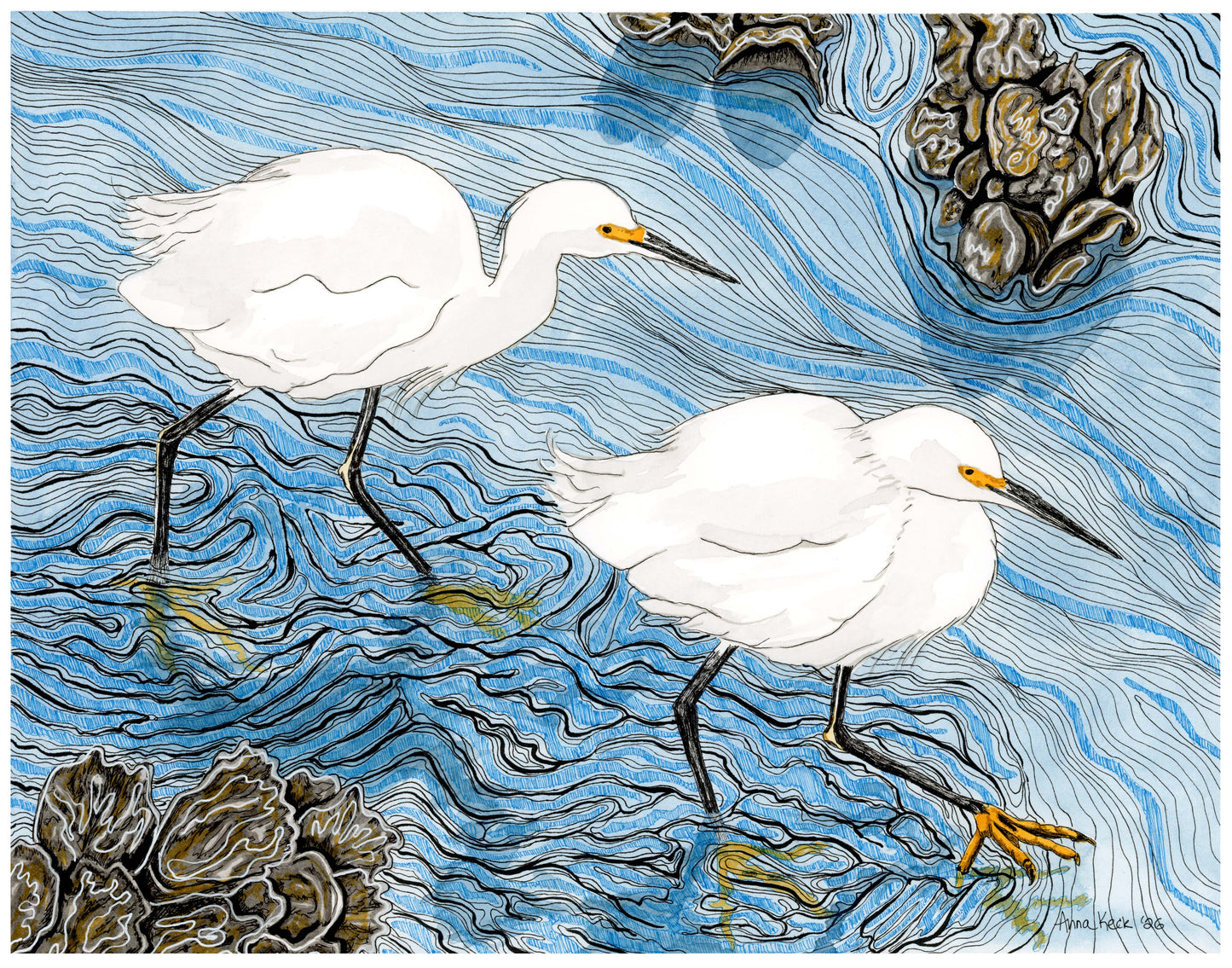 Snowy Egrets Walking Together - Art Print